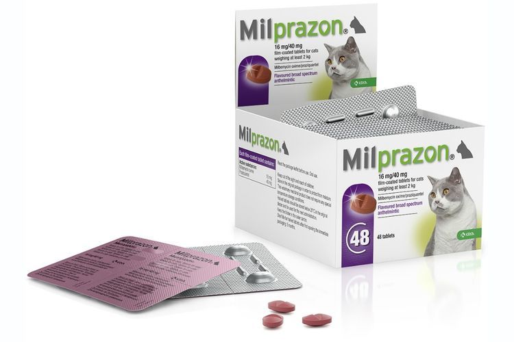 Milprazón para gatos