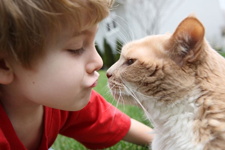 Kind küsst Katze