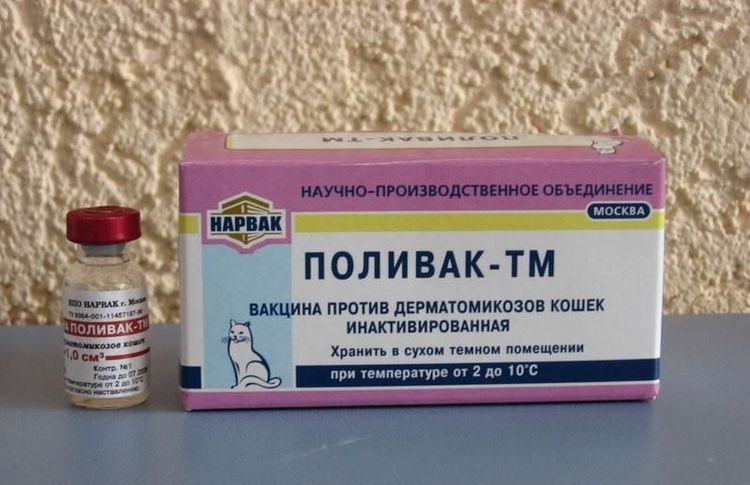 Polivak para gatos