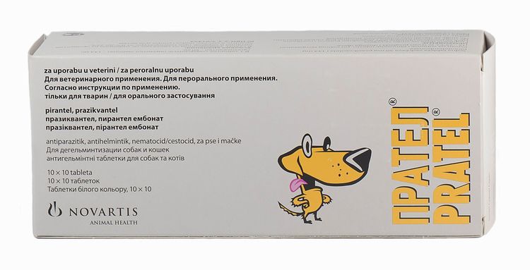 Pratel para gatos