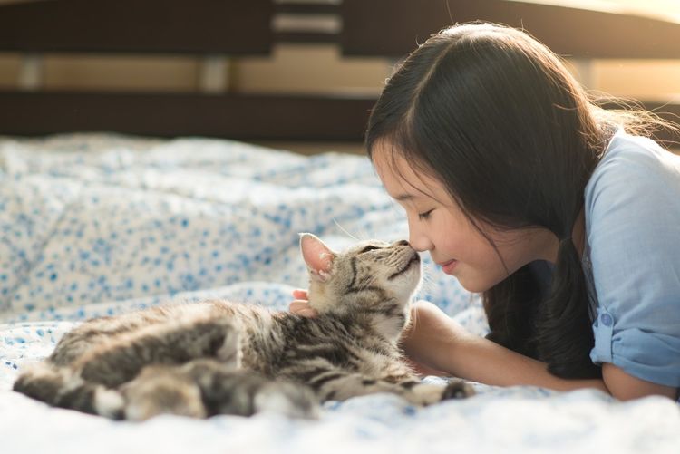 La gata huele la nariz de la dueña