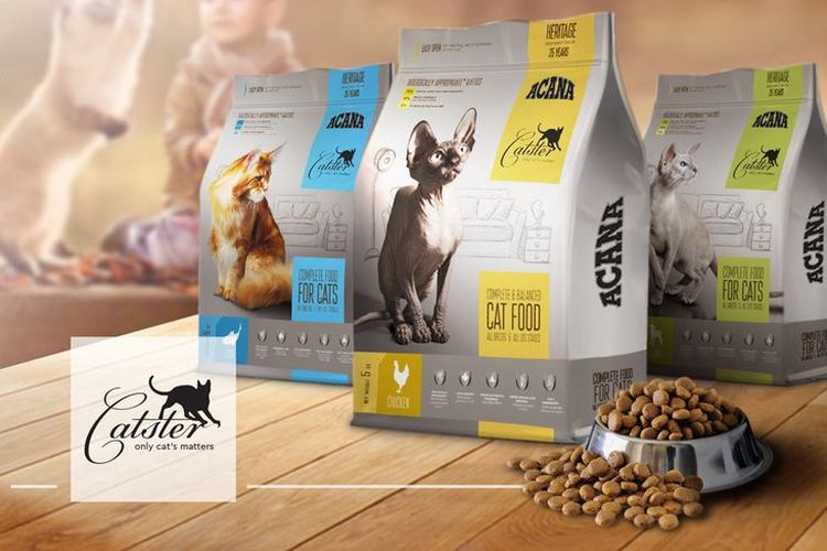 Comida para gatos Acana