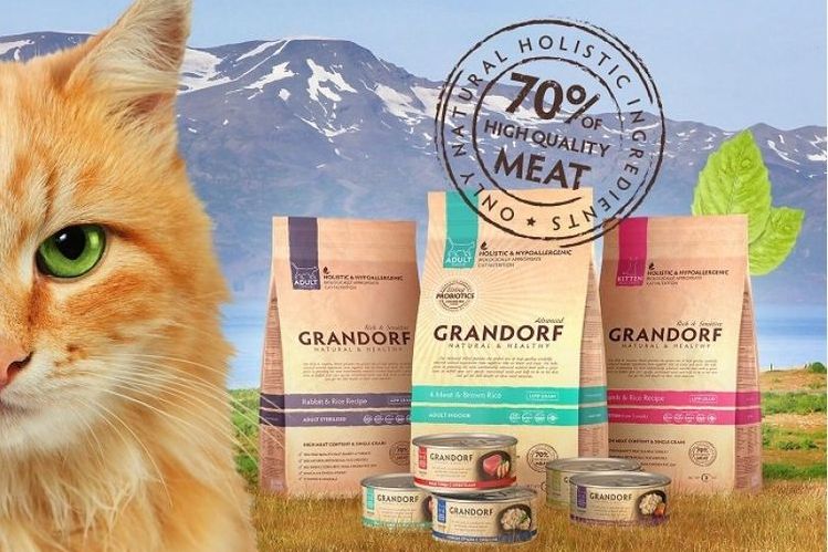 .comida para gatos Grandorf