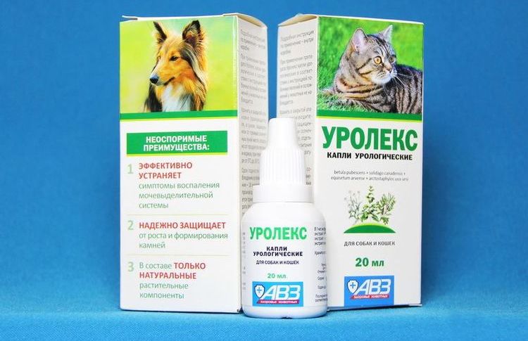 Urolex para gatos