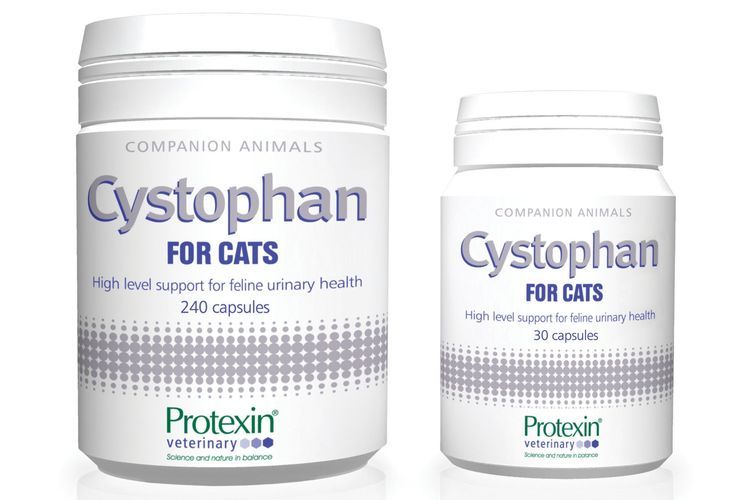 Cistofán para gatos