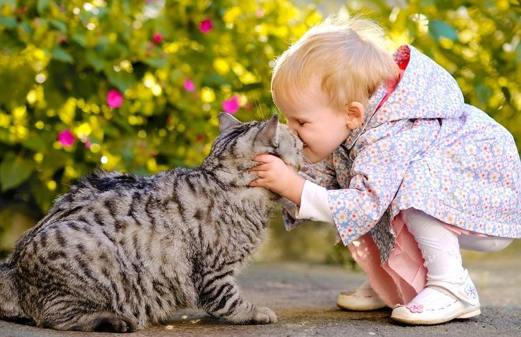 Gato y niño