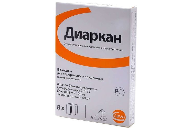 Diarkan para gatos