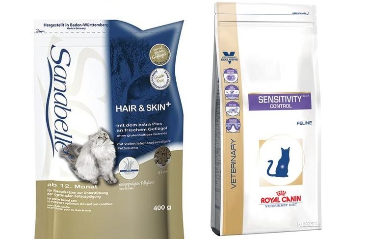 Alimentación del gato con granuloma