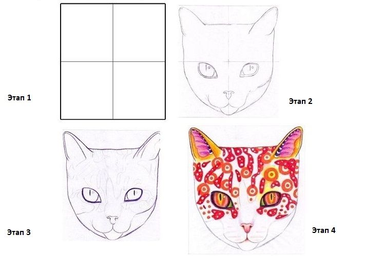 Taller: cómo dibujar la cara de un gato paso a paso