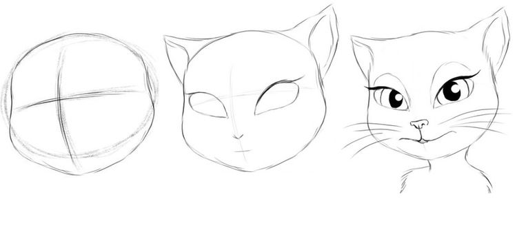 Taller: cómo dibujar la cara de un gato paso a paso