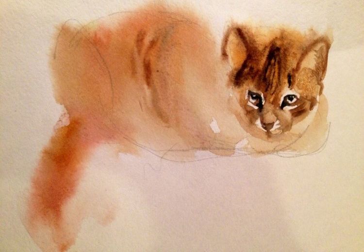 Dibujo de un gato en acuarela