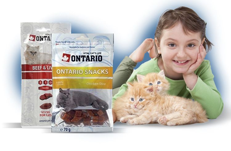 Comida para gatos Ontario
