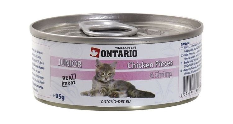 Pienso húmedo para gatos