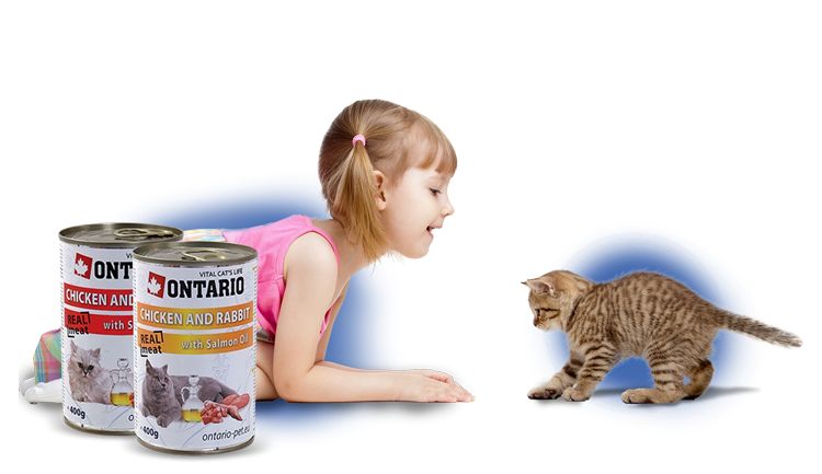 Comida para gatos Ontario