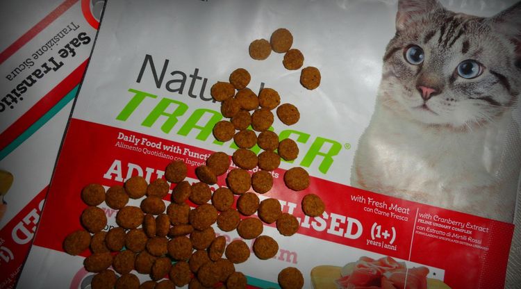 Comida para gatos Trainer