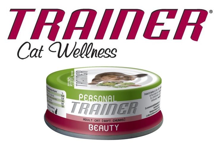 Comida para gatos Trainer