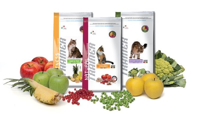Comida para gatos Trainer