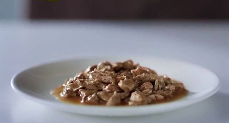 Comida Gourmet en un plato