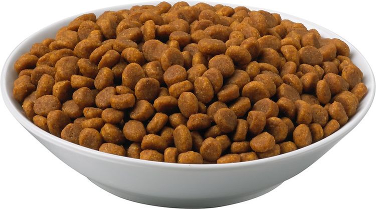 Comida seca Pro Plan