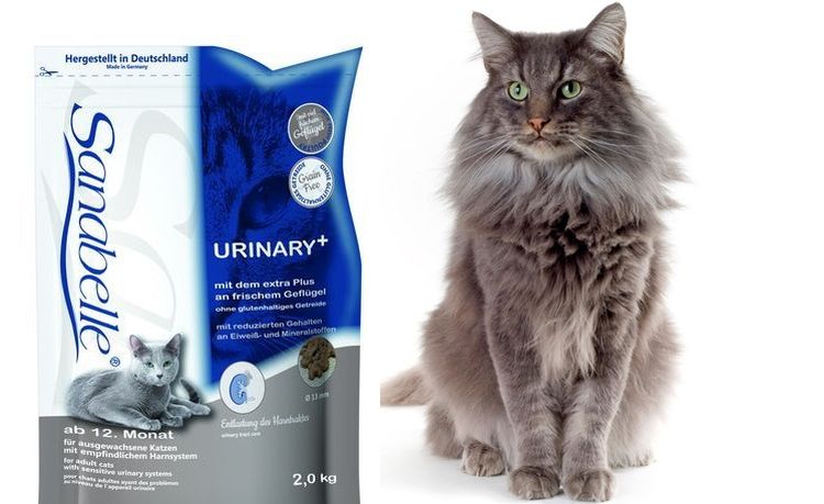 Alimento para gatos Bosch Sanabelle URINARY para la urolitiasis