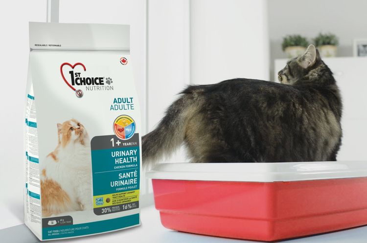 Alimento para gatos 1st Choice Urinary para la urolitiasis