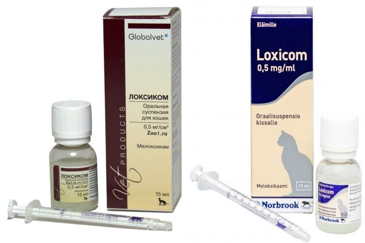 Loxicom für Katzen