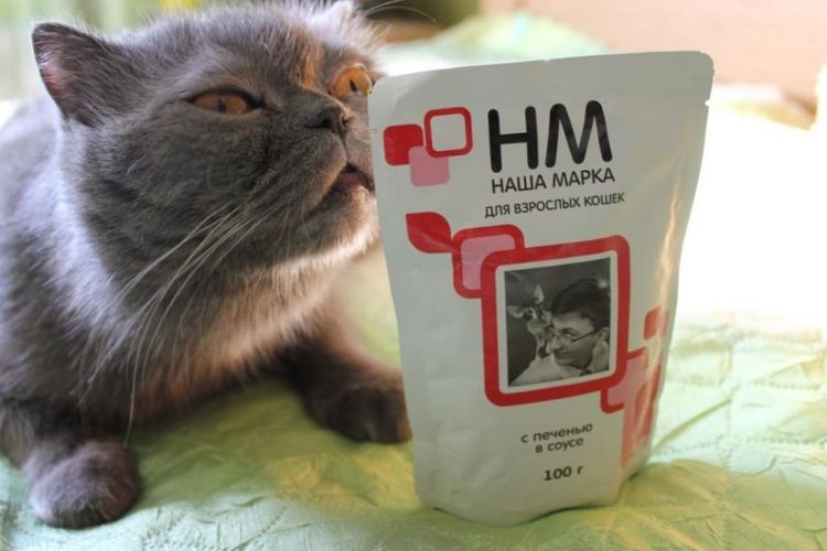 El gato huele la comida