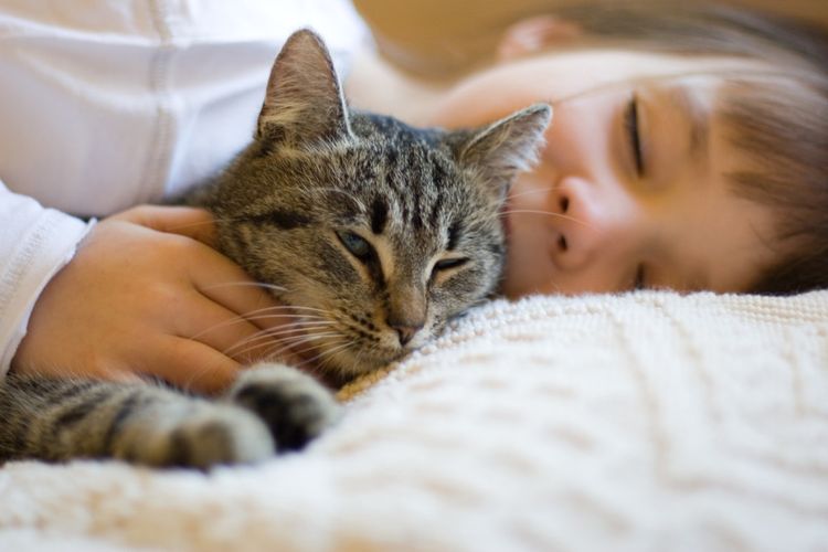 Un niño abraza a un gato
