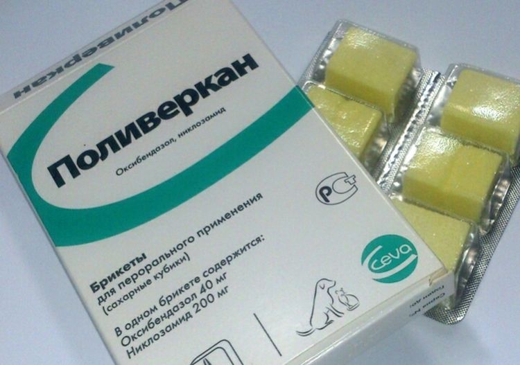 Polyverkan para gatos