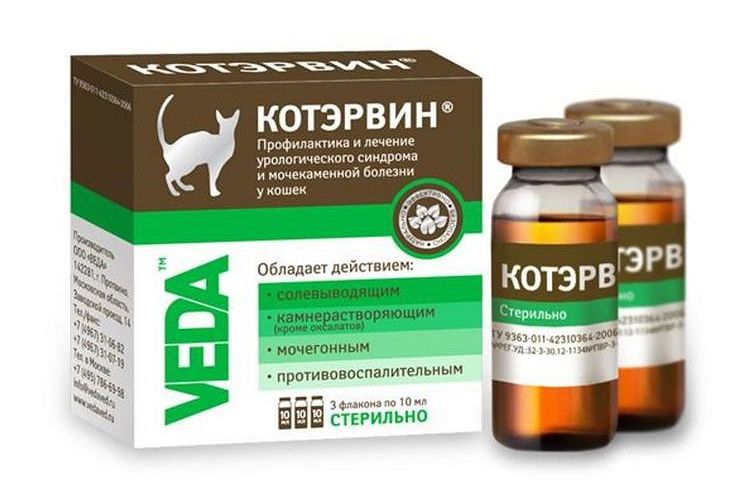Kotervin para gatos