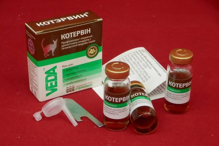 Kotervin para gatos