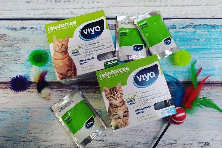 Viyo para gatos