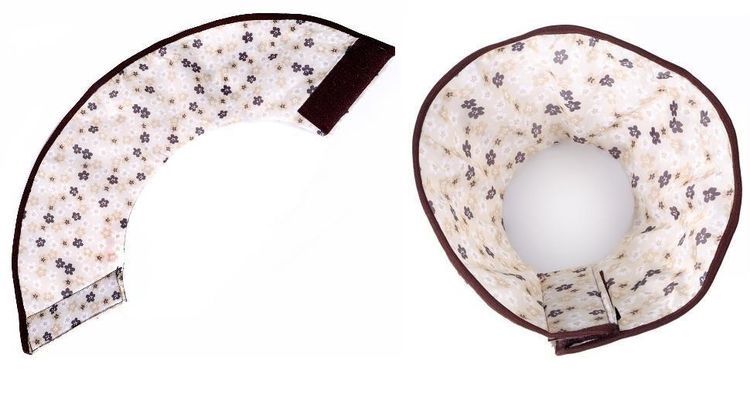 Collar postoperatorio para gato