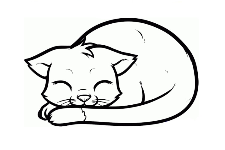 Dibujo de una gata dormida