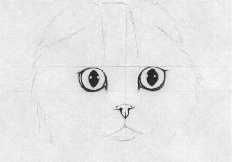 Dibujo de un gato Scottish Fold a lápiz