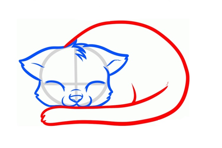 Dibujo de una gata dormida