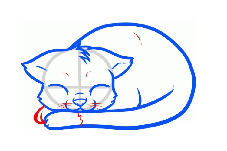 Dibujo de una gata dormida
