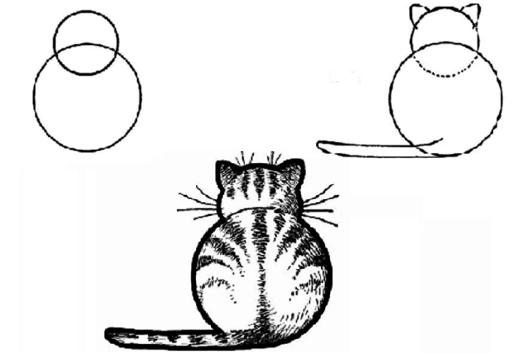 Dibujo de gato de círculos