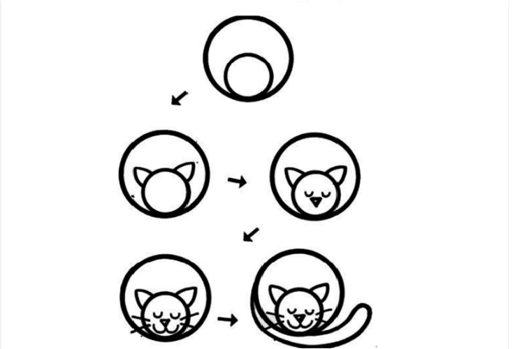 Dibujo paso a paso de un gato durmiendo