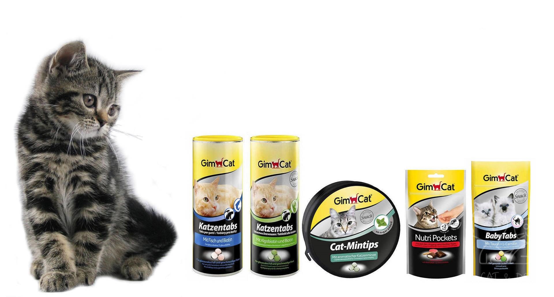 Katzentabs de Gimcat