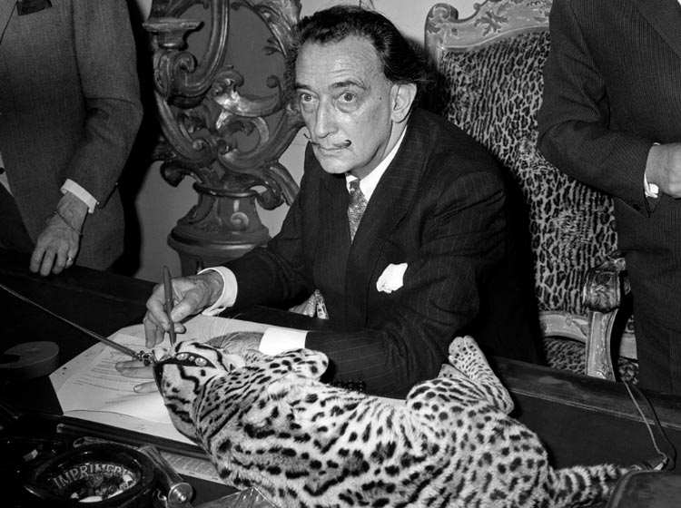 Ocelote de Salvador Dalí