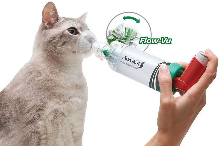 Aerosol para el asma en gatos "AeroKat"