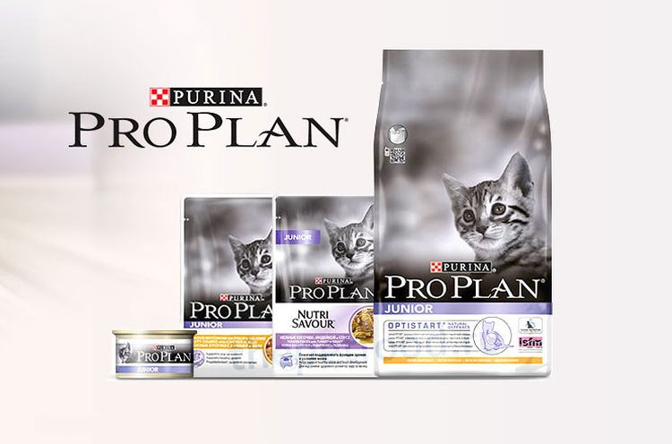 Alimento Pro Plan Junior