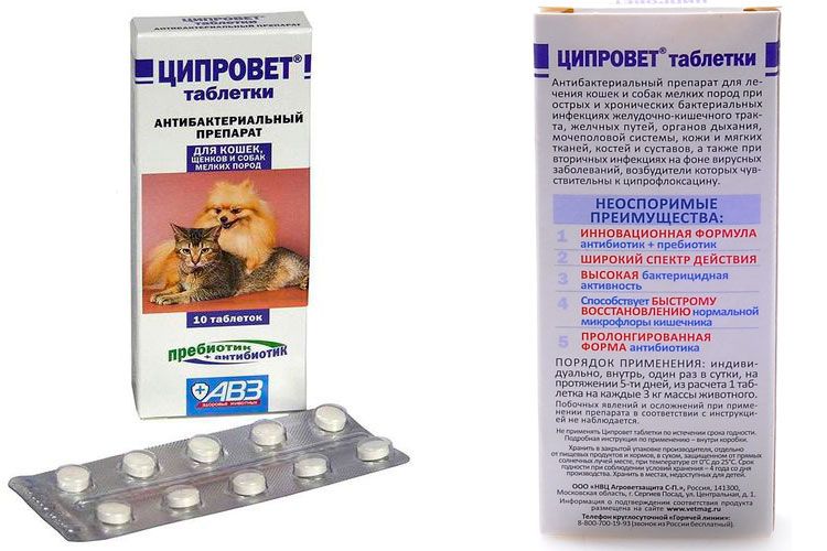 Ciprovet para gatos