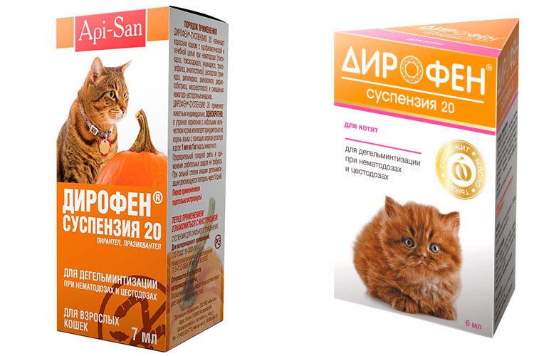 Suspensión Dirofen para gatos