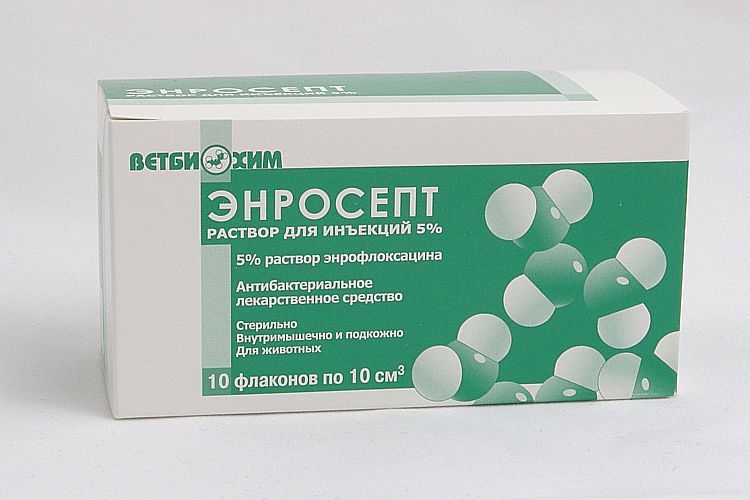 Enrosept para gatos