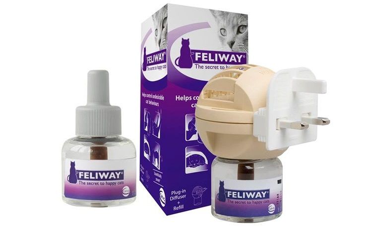 Difusor y spray Feliway para gatos
