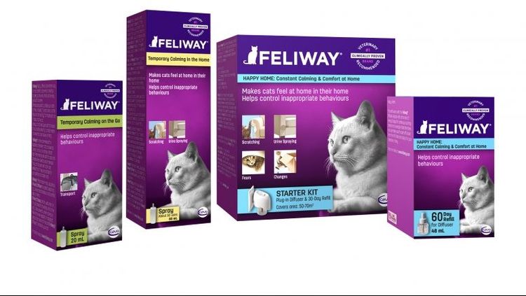 Feliway para gatos