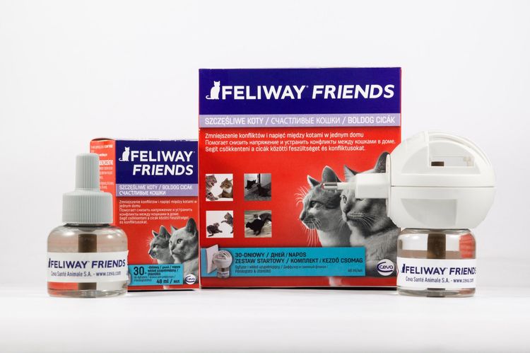 Feliway Friends para gatos