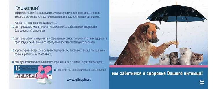 Indicaciones de uso de Glikopín para animales